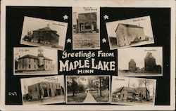 Greetings From Maple Lake Minn Minnesota Postcard Postcard Postcard