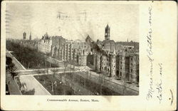 Commonwelth Avenue Postcard