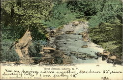 Trout Stream Postcard