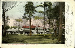 Mill Pond Plantation Postcard