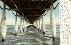 Under The Peir In January Postcard