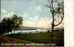 Greenville from Wilson Pond Road, Moosehead Lake Postcard