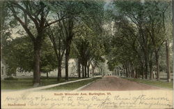 South Winooski Ave. Postcard