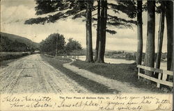 The Four Pines of Bellows Falls Vermont Postcard Postcard