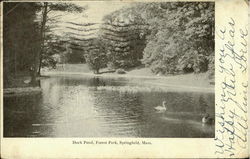 Duck Pond, Forest Park Postcard