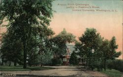 Avenue, South Quadrangle, Leading to President's House, Howard University Postcard