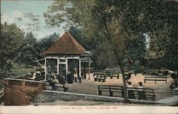 Siloam Springs Excelsior Springs, MO Postcard Postcard Postcard