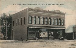 H.F. Toole & Sones, General Store, and I.O.O.F. Hall Gaylord, MN Postcard Postcard Postcard