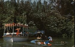 Jungle River Cruise Disney Postcard Postcard Postcard