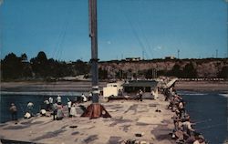 Cement Ship Fishing and Recreation For All the Family, Seacliff State Park Postcard