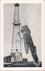 Huge Grasshopper - Oil Well Inspector Exaggeration Postcard Postcard Postcard