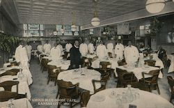 Famous Blue Goose Cage Postcard