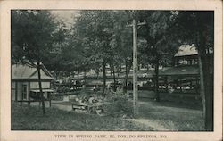 View In Spring Park Postcard