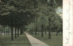 The Campus of University of Michigan Postcard