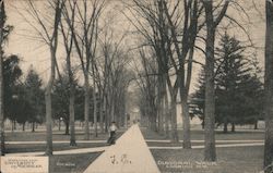 Diagonal Walk looking NW - University of Michigan Ann Arbor, MI Postcard Postcard Postcard