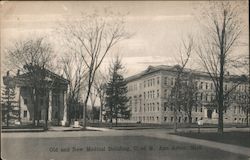 Old and New Medical Building University of Michigan Postcard