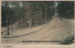 Horse Shoe Curve Boulevard Ann Arbor, MI Postcard Postcard Postcard