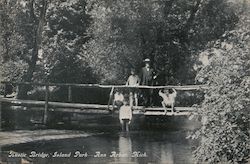 Rustic Bridge, Island Park Postcard