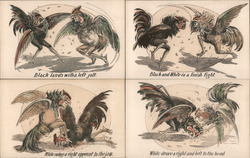 Set of 4: 1910 Jack Johnson James Jeffries Black White Fight Caricatures Chickens Postcard