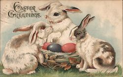 Easter Greetings With Bunnies Postcard Postcard Postcard