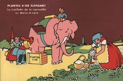 Plantes D'or Elephant Postcard