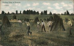 Shocking Hemp in Kentucky Black Americana Postcard Postcard Postcard