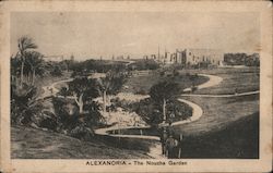 The Nouzha Garden Alexandria, Egypt Africa Postcard Postcard Postcard