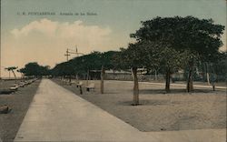 Avenida de los Banos Postcard