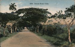 Guines Road Cuba Postcard Postcard Postcard