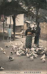 Pigeons of Miyajima Shrine Postcard