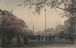 Cherry Blossoms at Uyeno Park, Tokyo Japan Postcard Postcard Postcard