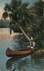 Tropical Landscape, Isle of Pines Postcard