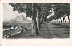 Allee des Pyramides Egypt Africa Postcard Postcard Postcard