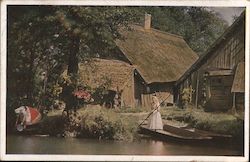 Spree Forest Scene Germany Postcard Postcard Postcard