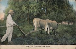 The Primitive Plow Cuba Postcard Postcard Postcard