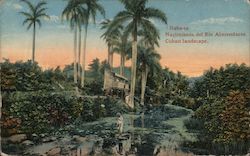 Source of the Almendares River, Cuban Landscape Postcard