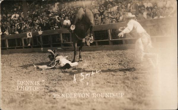 Cowboy On Bucking Bronco Pendleton Round Up Oregon Rodeos Dennis Photos Postcard 1566