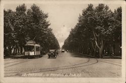 La Promenade du Prado L.L. Marseille, France Postcard Postcard Postcard