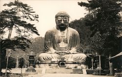 The Great Buddha of Kamakura at Kōtoku-in Temple Japan Postcard Postcard Postcard