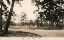 Hikawa Park Omiya, Japan Postcard Postcard Postcard