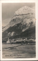 Field, B. C. and Mt. Stephan Postcard