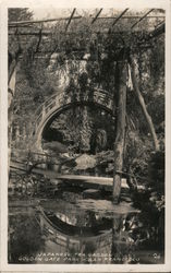 Japanese Tea Garden, Golden Gate Park Postcard