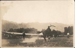 Cowboy on Bucking Bronco Postcard