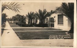 Avenue of the New Colony - Calazada de la Col. Moderne Postcard