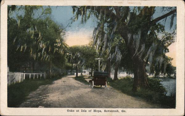 Oaks at the Isle of Hope Savannah, GA Postcard