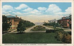 Agricultural University of Nebraska Lincoln, NE Postcard Postcard Postcard