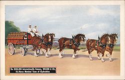 The $100,000 Internationally Famous, Wilson & Co. Six-Hourse Matched Team of Clydesdales Advertising Postcard Postcard Postcard