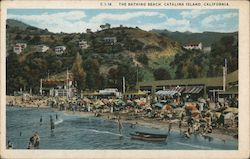 The Bathing Beach Santa Catalina Island, CA Postcard Postcard Postcard