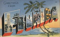 Greetings From Florida Postcard Postcard Postcard