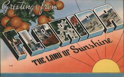 Greetings from Florida the Land of Sunshine Postcard